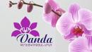 Vanda beauty salon